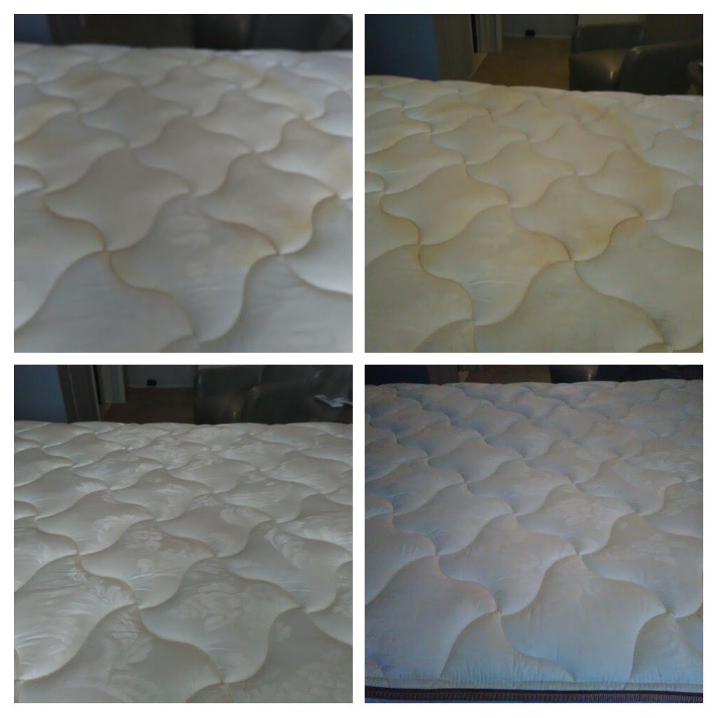 carpet cleaning