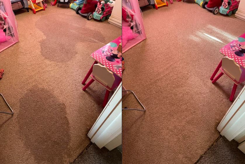 carpet cleaning