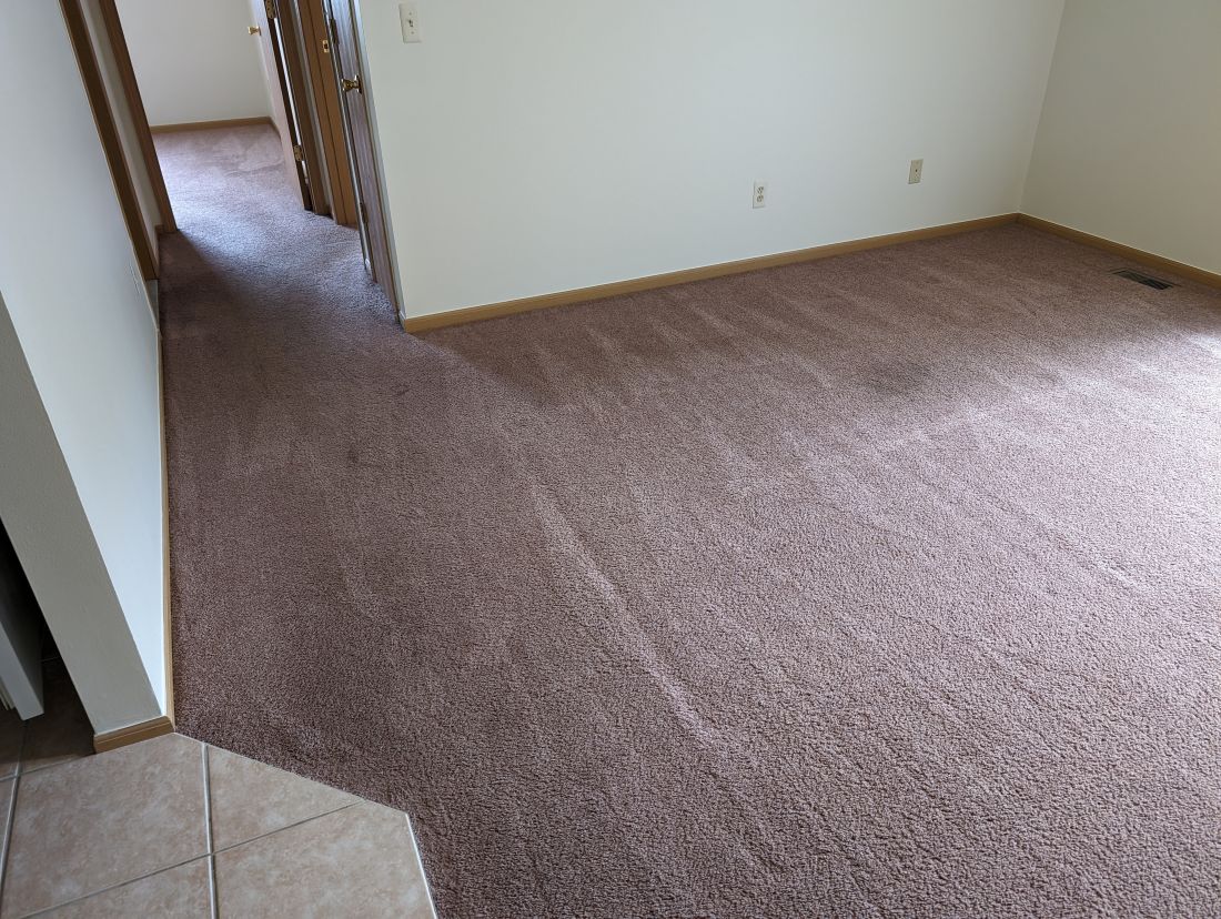 carpet cleaning